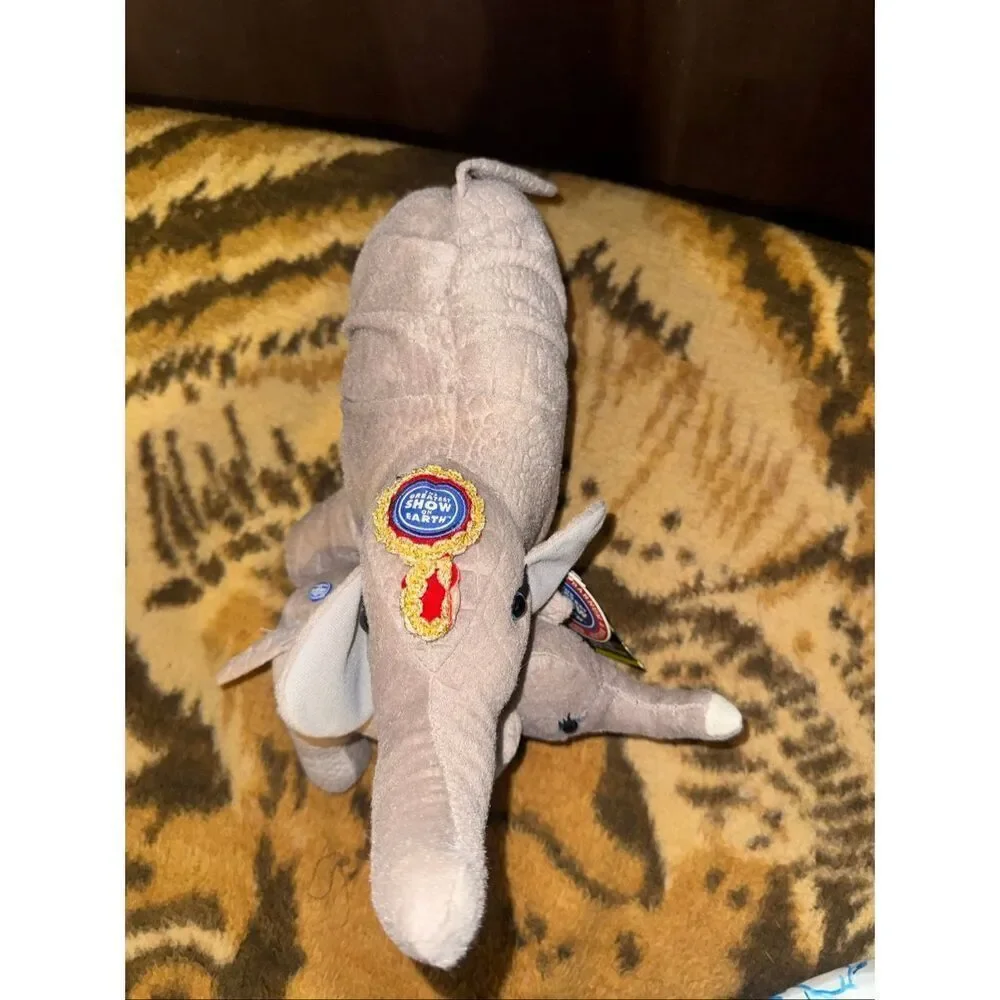 No Brand nwt authentic